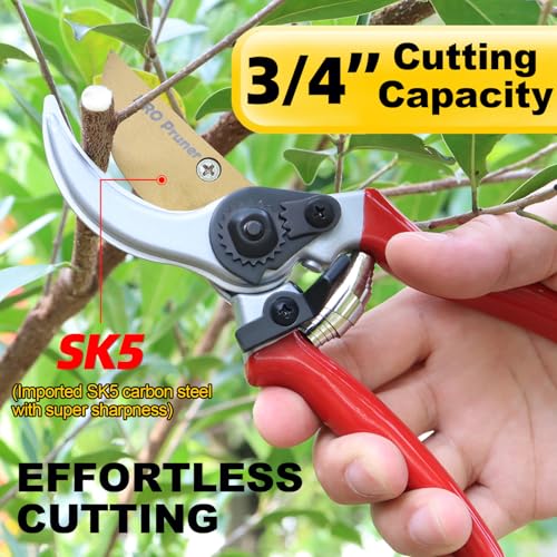 Garden Shears Spring Replacement, Premium Grade by Pro Pruner, Spring Parts (2-Pack) Stainless Steel- No Rust, Volute Springs,Accessories for Secateur - Pro Pruner